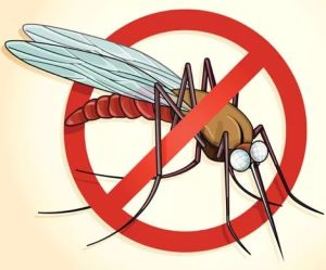 МАЛЯРИЯ МАЛЯРИЯ